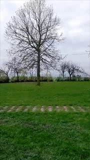1550058189.gif